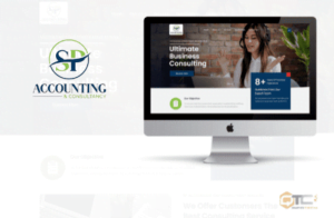 SP Accounting & Consultancy project preview