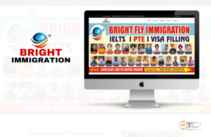 Bright Fly Immigration project preview